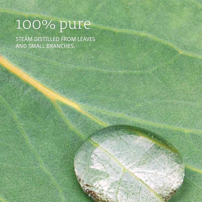 Now 100% Pure Eucalyptus Essential Oil, 30ml - Makkah Pharmacy