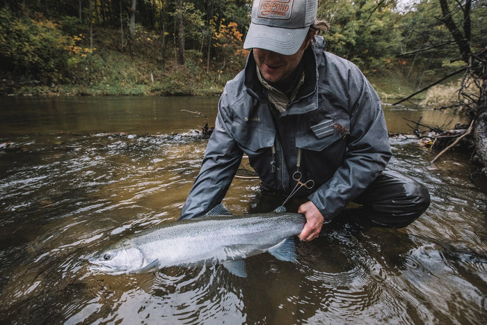 Pere Marquette River Steelhead