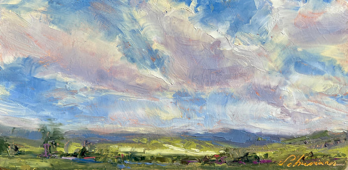 Open Skies by Tausha Schumann