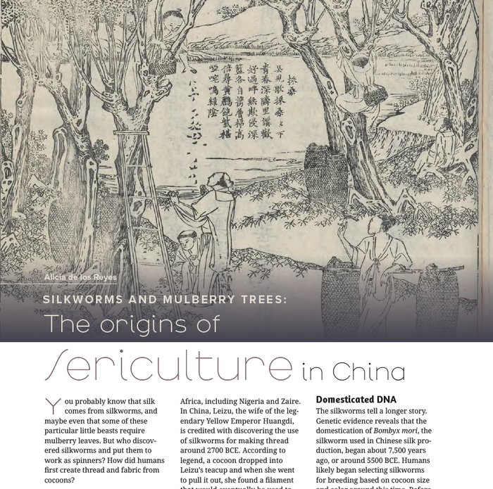 PLY Magazine, Issue 54: Sericulture