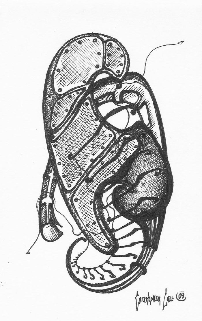 Prints (Reproduction)