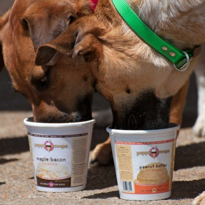 Puppy Scoops Ice Cream Mix - Peanut Butter