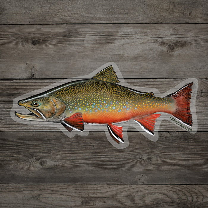 Rep Your Water Brookie Sticker Medium