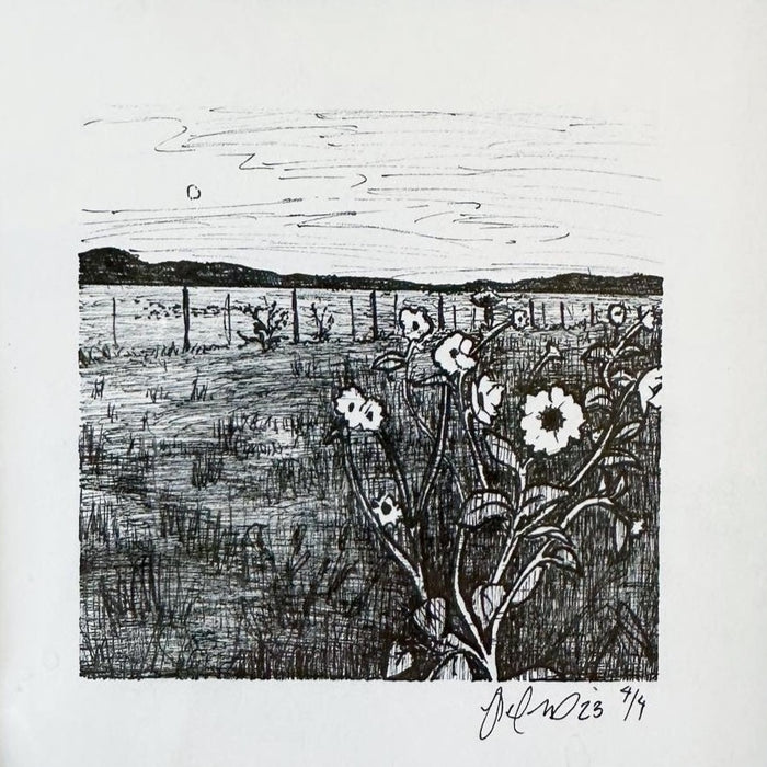 Roadside Flowers by Raquel Awerkamp