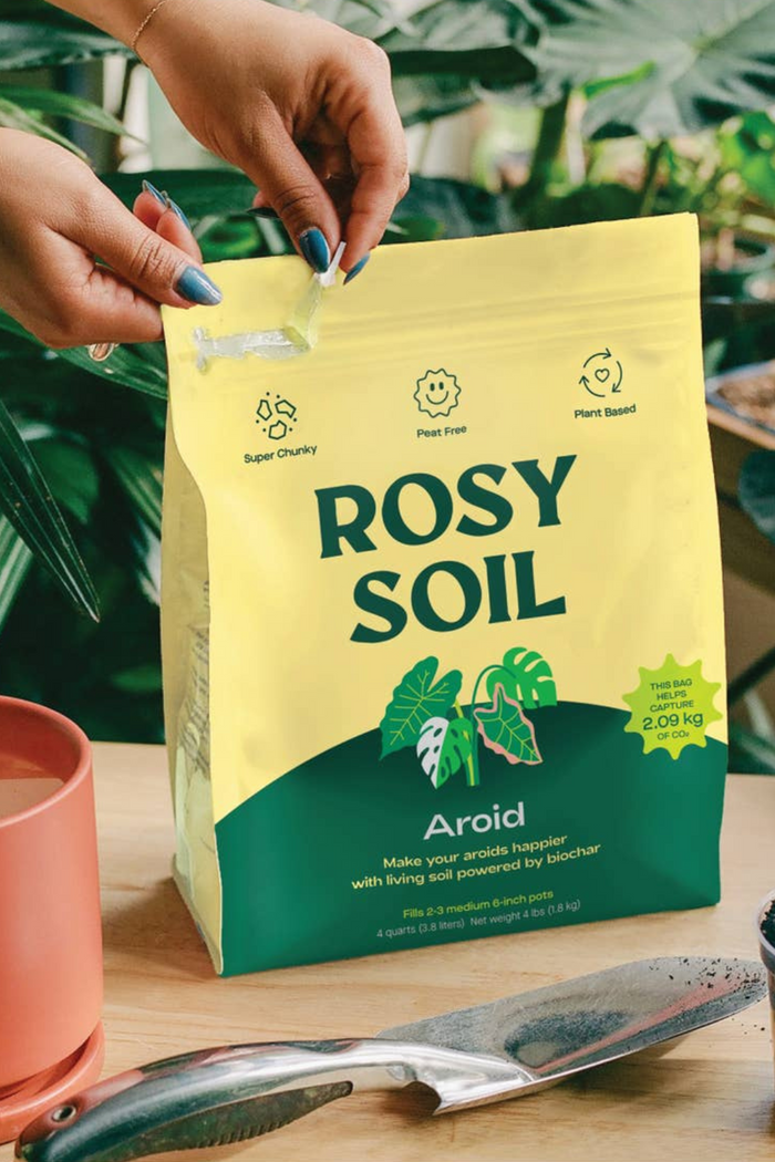 Rosy-Soil-Aroid-Mix