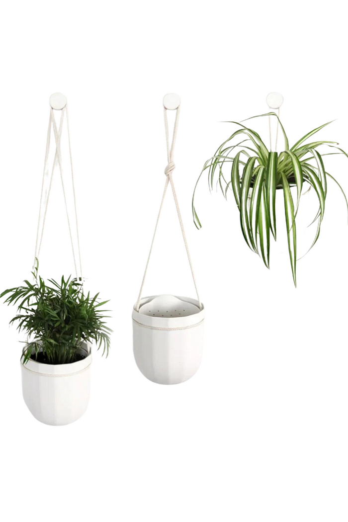 WallyGrow Loop Hanging Planter-WallyGrow-ECOVIBE