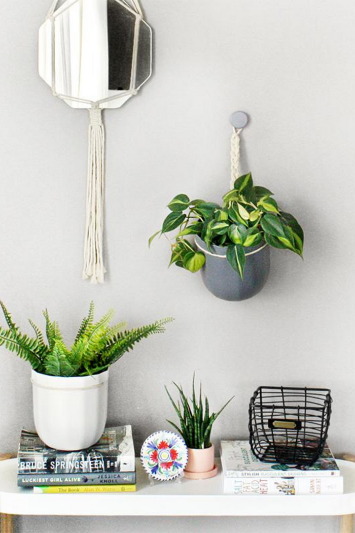 WallyGrow Loop Hanging Planter-WallyGrow-ECOVIBE