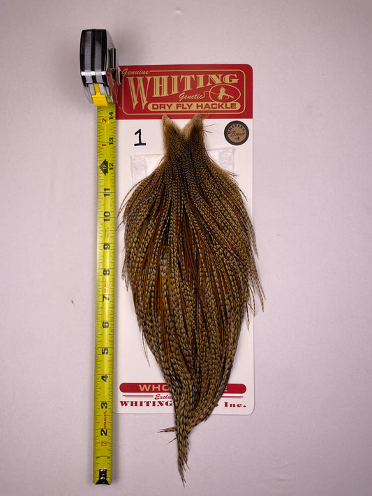 Whiting Bronze Cape Cree #1