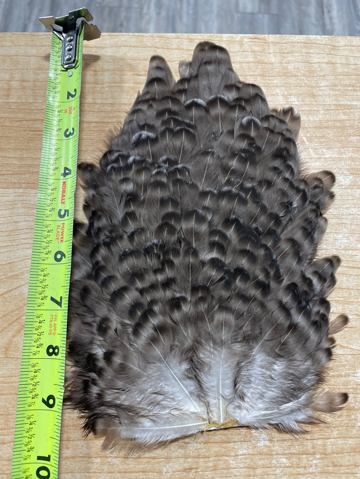 Whiting Farms 4 B's Hen Saddle