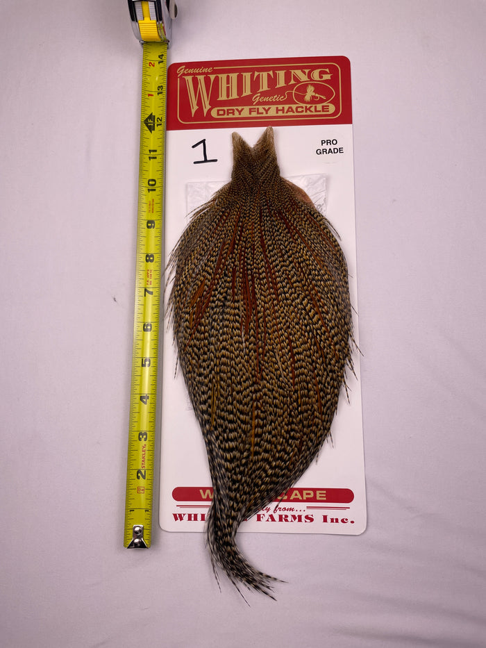 Whiting Pro Grade Cape Cree #1
